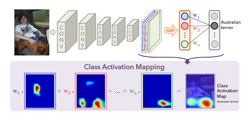 Figure 2 from CAM paper